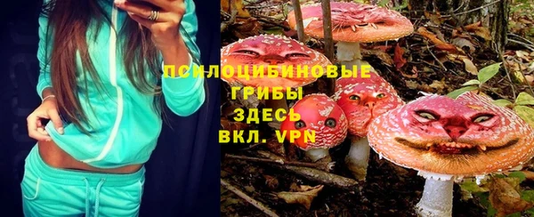 гидра Чекалин