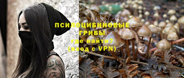 марки nbome Гусь-Хрустальный