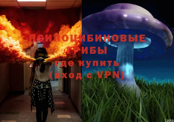 марки nbome Гусь-Хрустальный