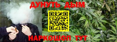 дурь Кингисепп