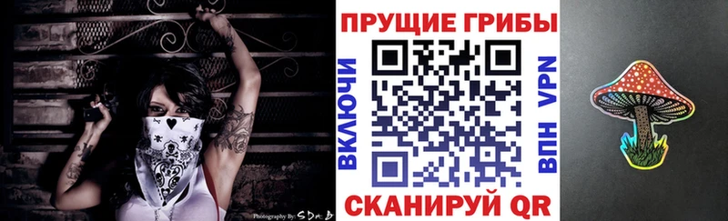 Галлюциногенные грибы GOLDEN TEACHER  кракен как зайти  Нурлат 