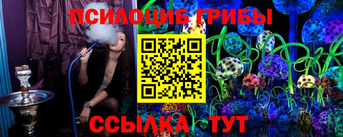 Галлюциногенные грибы Psilocybe Нурлат