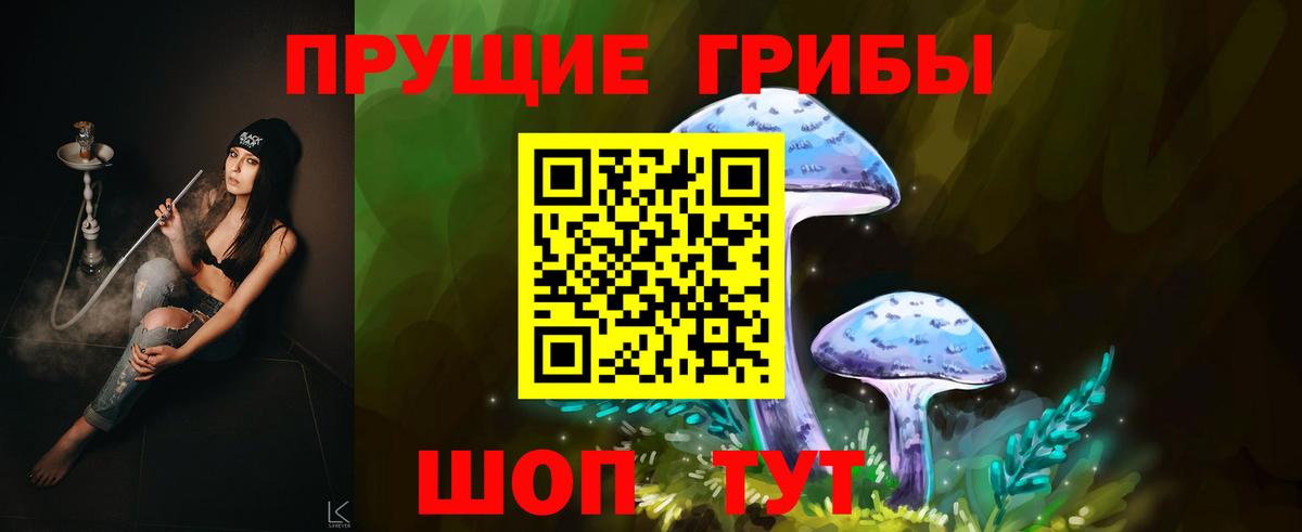 Галлюциногенные грибы Psilocybe  Вход с VPN  купить  сайты  Нурлат 